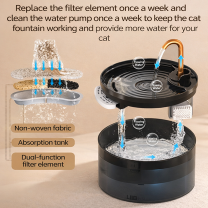 Kitty Fountain