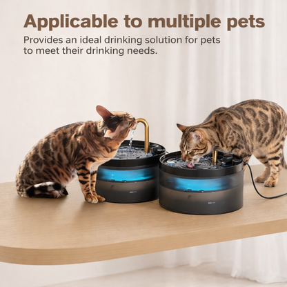 Kitty Fountain