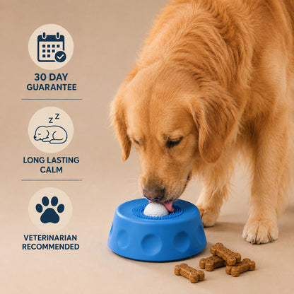 Treat Roller Bowl
