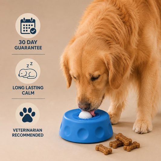 Treat Roller Bowl