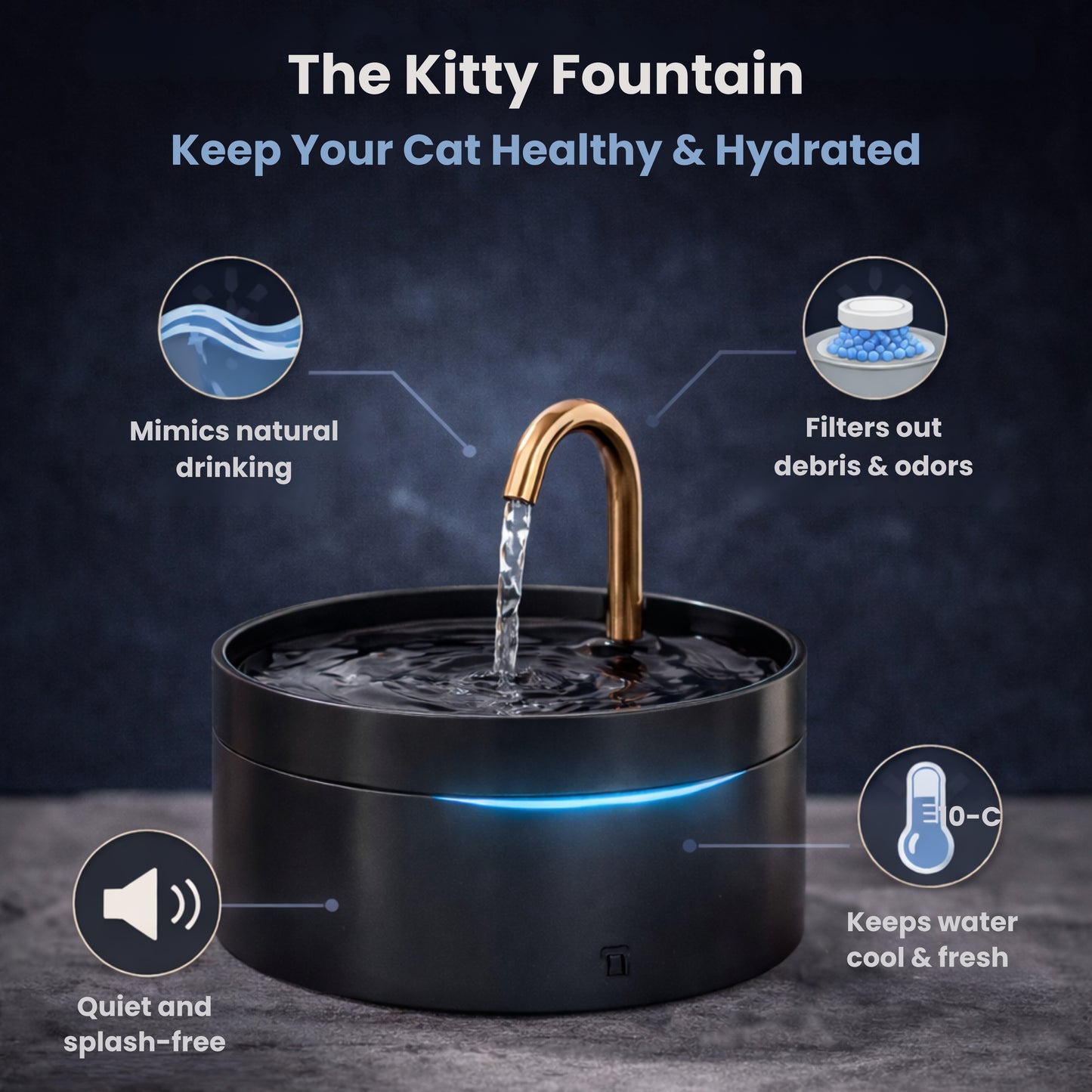 Kitty Fountain