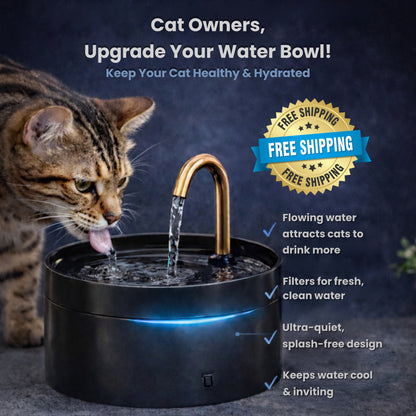 Kitty Fountain