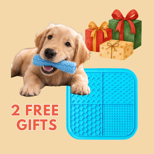 Chew Toy & Lick Mat