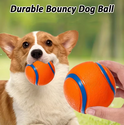 Lilo Bouncy Ball
